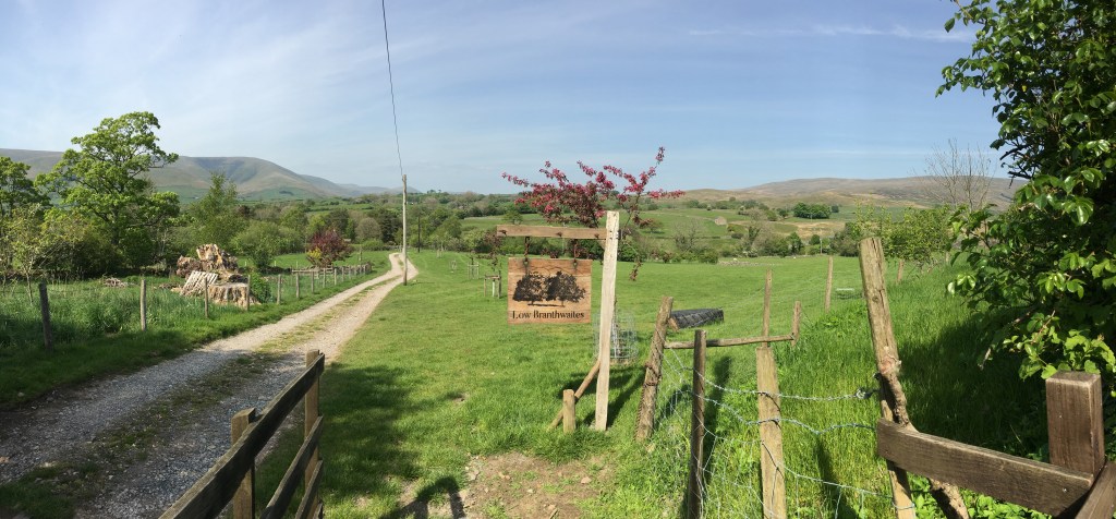 I am not a&nbsp;Weaver